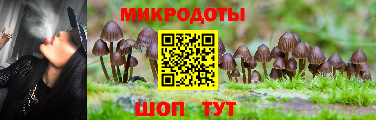 Орёл  Псилоцибиновые грибы MAGIC MUSHROOMS  Галлюциногенные грибы Psilocybine cubensis  Вход с VPN 